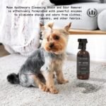 Muse Apothecary Complete Pet Stain and Odor Remover Enzyme Carpet Cleaner - Dog Stain Remover and Odor Neutralizer, Essential Oils Infused, Pet Stain Remover for Carpet - Pet Stain Carpet Cleaner 16oz - Image 3