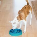 Outward Hound Fun Feeder Slo Bowl – Large 4‑Cup Capacity, Slow Feeding, Medium to Large Dogs, Non‑Slip, Turquoise, Drop Pattern - Image 7