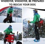 Airlift Original V2 Dog Carrier Sling | Light-Weight Dog Sling Now More Comfortable | for Injured, Sick, or Old Dogs | New Improved Shoulder Padding Now Included | Large (45–70 lbs) - Image 5