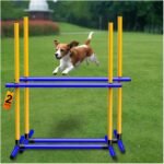 Adjustable Dog Agility Hurdles with Carry Bag, 2 Sets - Image 2