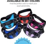 ShawnCo Essential Dog Harness, No-Pull Pet Vest with 3 Leash Clips, No Choke, Reflective, Adjustable and Padded, for Easy Walking and Training for Small, Medium and Large Dogs (Oceanic Blue, S) - Image 8