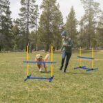 Adjustable Dog Agility Hurdles with Carry Bag, 2 Sets - Image 6