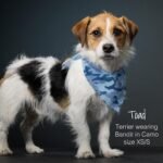 Pet Passion Bandit - THE PET Bandana 100% Organic Cotton Pet Bandanas Clothes for Small, Medium, Large Dogs​​, 3-Pack Sage Camo, Medium/X-Large - Image 4