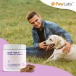 Gut Max Probiotic Chews - Natural, Vet Formulated Digestive & Immune Support - Relieves Diarrhea, Constipation - with Patented BC30™ Bacillus Coagulans - Duck Flavor - 90 Soft Chews - Image 9