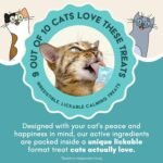 ALBERT & MIA Lickable Cat Calming Treats, Stress & Anxiety Relief, 20 Pack | Vet recommended sleep aid for indoor kittens and adult felines, soothes grooming, car rides, vet visits and plane trips - Image 5