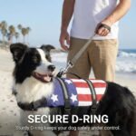 Doglay Dog Life Jacket, Dog Life Vest for Swimming Boating, Adjustable Puppy Life Jacket with Reflective Stripes, Superior Buoyancy Pet Swimming Vest for Small Medium and Large Dogs - Image 7