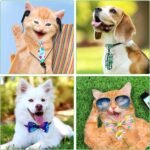 Reginary 120 Pcs Dog Bow Ties Bulk Summer for Dogs Adjustable Puppy Bowtie Collar Pet Bow Neckties Fruit Hawaii Pet Neckties for Dog Cats Puppy Holiday Grooming Accessories - Image 7