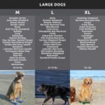 PawZ Rubber Dog Boots for Large Paws - All-Weather Waterproof Dog Shoes, Anti-Slip Traction for Rain, Snow, Mud & Hot Pavement - Pull-On Dog Booties, Black - Large (3"- 4") - Pack of 12 - Image 5