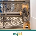 MYPET Paws Portable Pet Gate: 26-40" Wide Expandable, Pressure Mounted No Tools Needed, Durable Dog Gate for Doorways, Made in USA, 23" Tall, Fieldstone Gray - Image 8