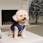 Vecomfy Warm Dog Coats with Hoodie,Winter Dog Jackets for Small Dogs | Fleece Lining Puppy Coat for Cold Weather,Soft Cozy,Windproof Doggie Clothes for Snow Play,Leash Hole for Daily Walk,BLue M - Image 8