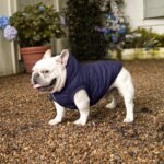 Vecomfy Warm Dog Coats with Hoodie,Winter Dog Jackets for Small Dogs | Fleece Lining Puppy Coat for Cold Weather,Soft Cozy,Windproof Doggie Clothes for Snow Play,Leash Hole for Daily Walk,BLue M - Image 9