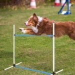 Halloscume 6 Pcs Dog Agility Training Jumps Hurdles,Blue and White | Adjustable Jumps Hurdles, Pet Jump Bars with Bag and Whistle, Equipments for Indoor Outdoor Dogs Pet Agility Course Game - Image 7
