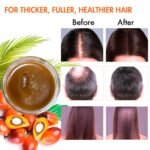 MISICH Raw Batana Oil for Hair Growth, 100% Natural Pure Botana Oil Paste from Honduras, Unrefined Organic Batana Hair Mask for Prevent Hair-Loss, Enhances Thickness for Men & Women 5.3 oz - Image 5