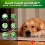 Hemp Calming Chews for Dogs with Anxiety and Stress - Dog Calming Treats - Anxiety Relief - Separation - Travel - Barking - Melatonin - Hemp Oil - 120 Soft Treats - Made in USA - Image 5