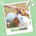 Nature Gnaws Braided Pork Bully Sticks 5-6" Rawhide Free Dog Chew, 20 Count | Long Lasting for Small and Medium Dogs - Natural Bacon Dog Chew Treats - Single Ingredient Pork - No Artificial Preservatives - Image 8