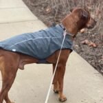 Mile High Life Dog Raincoat, Adjustable Waterproof Reflective Rain Jacket for Small Medium Large Dogs, Lightweight Breathable Pet Rain Coat with Leash Hole(Dark Gray,XS Chest 17-23") - Image 8
