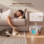 Cat Water Fountain Stainless Steel: Pet Fountains for Cats/Dog Indoor Automatic Waterer Bowls for Drinking Small Animal Water Dispenser Metal Pets Watering Faucet Bottle Auto Kitty Watering Supplies - Image 6