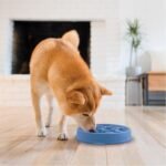 Outward Hound Fun Feeder Slo Bowl – Medium 2‑Cup Capacity, Slow Feeding, Small to Medium Dogs & Cats, Non-Slip, Blue, Notch Pattern - Image 7
