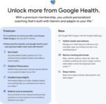Google Fitbit Inspire 3 - Midnight Zen/Black - Small and Large Bands | Stress management, sleep tracking, 24/7 heart rate, 3-month Google Health Premium membership included, small and large bands - Image 14