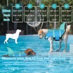 Dogcheer Dog Life Jacket, Cute Shark Dog Life Vest for Swimming Boating with Superior Buoyancy and Rescue Handle, Adjustable Puppy Floating Swim Vest for Small Medium Large Dogs - Pool Blue, XS - Image 3