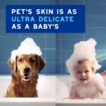 DOUXO SPA Dog Wipes for Paws, Butts, Tear Stains and Cleaning, 100 Wipes | Multi-Purpose for Coat and Paws, Leaves the Coat and Skin Refreshed, Skin-Friendly Formula, Can Also be Used for Cats - Image 5