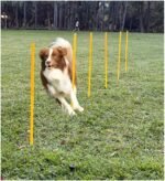 Dog Agility Equipment, Agility Poles, Dog Jumps, Outdoor Obstacle Course with 6 Weave Poles and Adjustable Jump Bar, Partial Gift Conversion Buckle (Blind Box) Yellow - Image 2