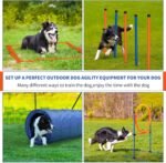 Dog Agility Training Equipment, 60-piece Dog Obstacle Course Training Starter Kit Pet Outdoor Game with Tunnel, Agility Hurdle, Weave Poles, Jump Ring, Pause Box, Toy Balls and Storage Bag | Training Starter Set: 8 Weave Poles, Adjustable Hurdle, Jump Ring, Tunnel, Pause Box, Balls, Whistle, Pouch and 2 Carry Bags - Image 5