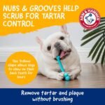 Arm & Hammer Nubbies T-Bone Dental Dog Chew Toy, Peanut Butter Flavor | Durable nylon and TPR nubs clean teeth and gums, built for aggressive chewers - Image 4