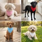 12 Pack Blank Dog Bandanas, White Solid Plain Washable Variety Pack | White Blank Solid Plain, Washable Soft Fabric, Heat Transfer Friendly, for Puppies Daily DIY Wear - Image 4