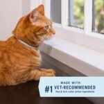 PetArmor Extend Flea & Tick Treatment & Prevention Collar for Cats, 8 Months of Protection, 1 Count - Image 4