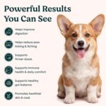 Probiotics for Dogs – Allergy Chews for Gut Health & Itchy Skin | With Prebiotic, 30 Soft Chews - Image 4