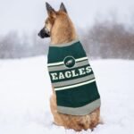 NFL Philadelphia Eagles Dog Sweater, Size Medium. Warm and Cozy Knit Pet Sweater with NFL Team Logo, Best Puppy Sweater for Large and Small Dogs - Image 4