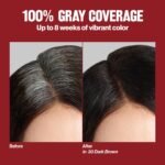 Revlon ColorSilk with Bond Repair Hair Color, 41 Medium Brown, 3pk | Permanent hair color with 100% gray coverage; ammonia free hair dye with bond repair complex and vegan keratin. 3 pack. - Image 5