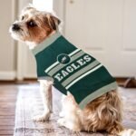 NFL Philadelphia Eagles Dog Sweater, Size Medium. Warm and Cozy Knit Pet Sweater with NFL Team Logo, Best Puppy Sweater for Large and Small Dogs - Image 6