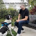 ShawnCo Essential Dog Harness, No-Pull Pet Vest with 3 Leash Clips, No Choke, Reflective, Adjustable and Padded, for Easy Walking and Training for Small, Medium and Large Dogs (Oceanic Blue, S) - Image 4