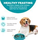 Outward Hound Fun Feeder Slo Bowl – Medium 2‑Cup Capacity, Slow Feeding, Small to Medium Dogs & Cats, Non-Slip, Turquoise, Drop Pattern | Slows Fast Eaters, Can Aid Digestion, Holds 2 Cups Dry or Wet Food, Non-Slip, Easy Clean, No BPA, Small to Medium Dogs & Cats - Image 3