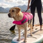Outward Hound Granby Splash Pink Dog Life Jacket, Large - Image 9