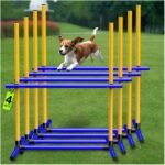 Adjustable Dog Agility Hurdles with Carry Bag, 4 Sets - Image 2