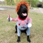 Pet Deadly Doll Dog Costume, Cosplay Halloween Christmas Funny Clothes Party Costume for Small Medium and Large Dogs (Small) - Image 4