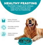 Outward Hound Fun Feeder Slo Bowl – Large 4‑Cup Capacity, Slow Feeding, Medium to Large Dogs, Non‑Slip, Turquoise, Drop Pattern - Image 3