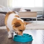 Outward Hound Fun Feeder Slo Bowl – Medium 2‑Cup Capacity, Slow Feeding, Small to Medium Dogs & Cats, Non-Slip, Turquoise, Drop Pattern | Slows Fast Eaters, Can Aid Digestion, Holds 2 Cups Dry or Wet Food, Non-Slip, Easy Clean, No BPA, Small to Medium Dogs & Cats - Image 7