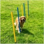 6-Pack Dog Agility Weave Poles with Stakes for Backyard Dog Training - Image 2