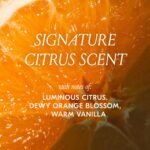 DAE Cactus Fruit 3-in1 Styling Cream & Taming Wand - Tames Flyaways | Style edges, defines curls, adds shine, hydrates & moisturizes, built-in taming wand, convenient on-the-go purse size - Image 9