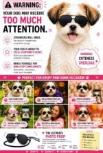 G029 Small Dog Breed up to 15lbs Cat Pet Aviator Sunglasses Glasses (Black) - Image 3