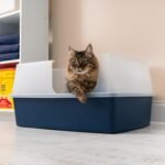 IRIS USA XX-Large Side Entry Cat Litter Box, Navy | Multi-Cat Use, Extended Length Design, Extra Room Interior, Jumbo Capacity Pan, Comfortable Space, Multiple Cat Ready - Image 11