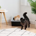 IRIS USA XX-Large High Sided Cat Litter Box, Scatter Shield, Black | Multi-Cat Use, Jumbo Capacity Pan, Extended Length Design, Oversized Basin, Multiple Cat Ready, Generous Dimensions - Image 4