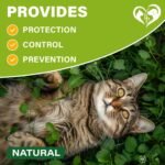 Natural Flea & Tick Collar for Cats - 6 Months Control of Best Prevention & Safe Treatment - Anti Fleas and Ticks Essential Oil Repellent (1 Pack) - Image 6