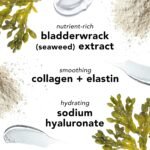 Mario Badescu Seaweed Night Cream for Women Anti Aging Oil-Free Moisturizer with Collagen & Sodium Hyaluronate, Ideal for Combination - Image 4