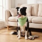12 Pack Blank Dog Bandanas, White Solid Plain Washable Variety Pack | White Blank Solid Plain, Washable Soft Fabric, Heat Transfer Friendly, for Puppies Daily DIY Wear - Image 8