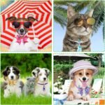 Sanwuta 300 Pcs Dog Bow Tie Collars Bulk for Dogs Adjustable Summer Spring Basic Dog Bowtie Collars for Medium Large Dogs 120 Pet Neck Ties 120 Bowties 60 Bowknot Set for Pet Grooming Accessories - Image 7